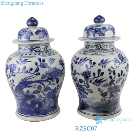 Rzsc07 Jingdezhen antico bellissimo vaso di zenzero in ceramica con motivo di fiori e uccelli